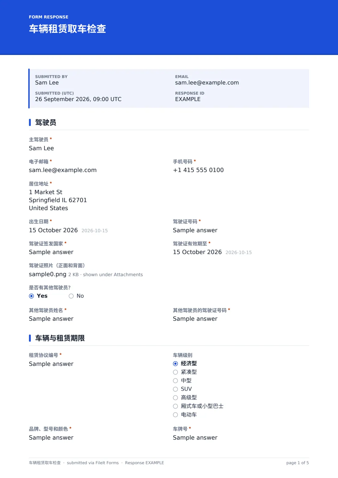 车辆租赁取车检查 — 示例回复 PDF，第 1 页，共 5 页