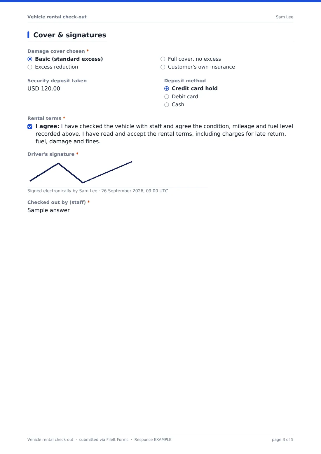 Vehicle rental check-out — example response PDF, page 3 of 5