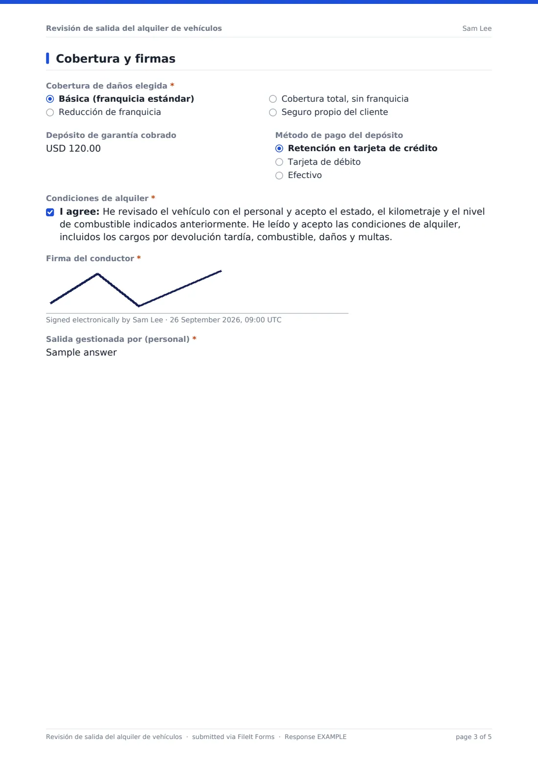Revisión de salida del alquiler de vehículos — PDF de respuesta de ejemplo, página 3 de 5