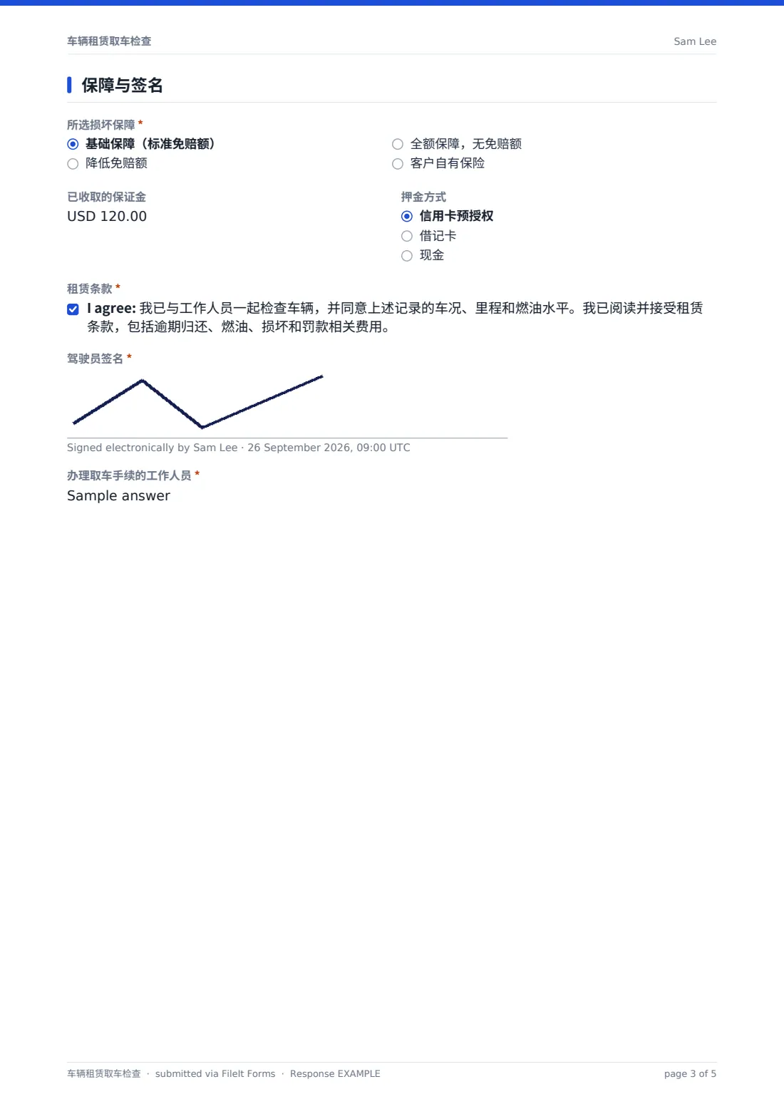 车辆租赁取车检查 — 示例回复 PDF，第 3 页，共 5 页