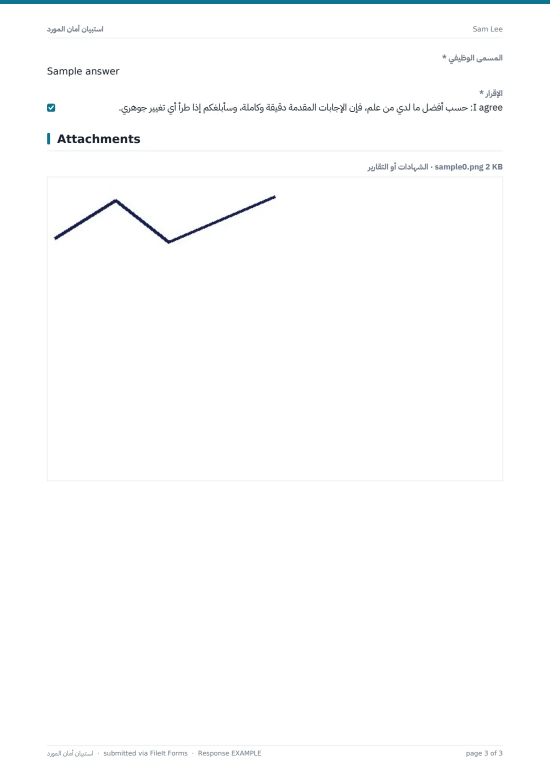 استبيان أمان المورّد — ملف PDF لرد نموذجي، الصفحة 3 من 3
