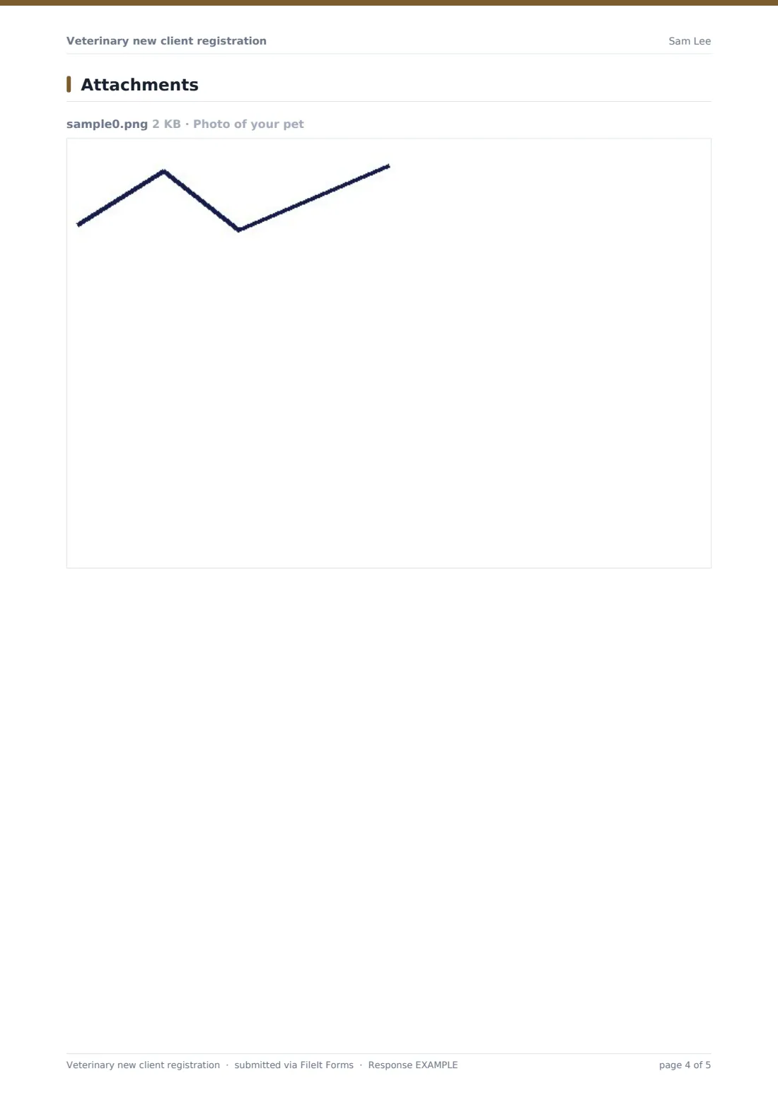 Veterinary new client registration — example response PDF, page 4 of 5
