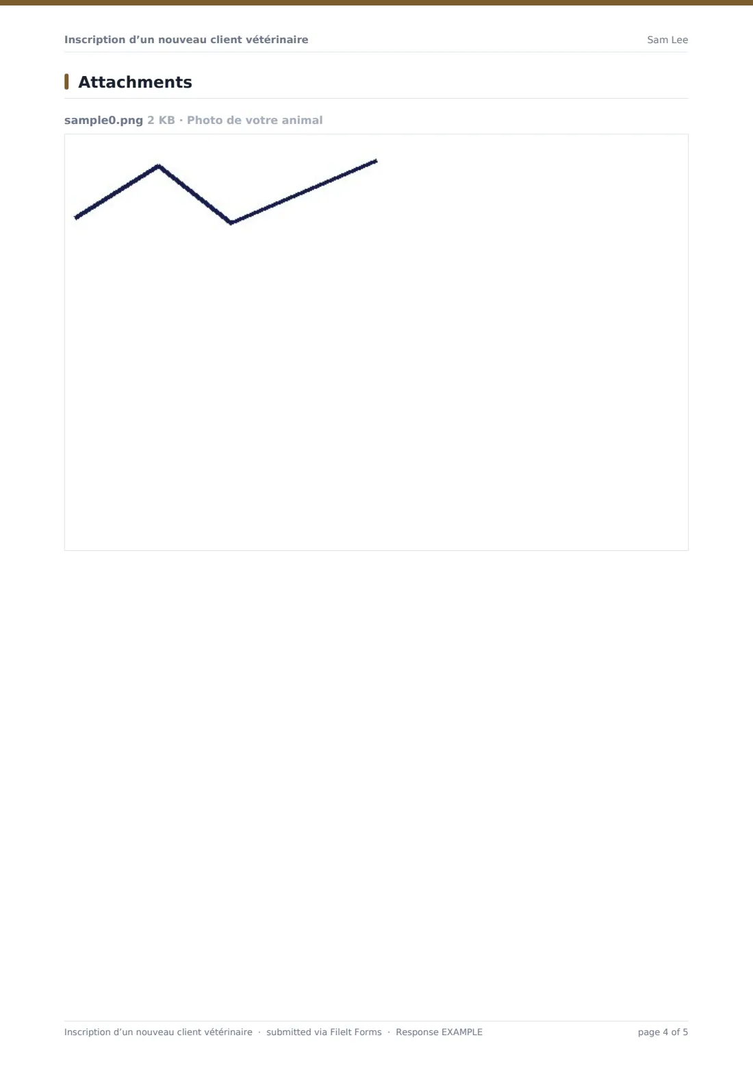 Inscription d’un nouveau client vétérinaire — exemple de réponse au format PDF, page 4 sur 5