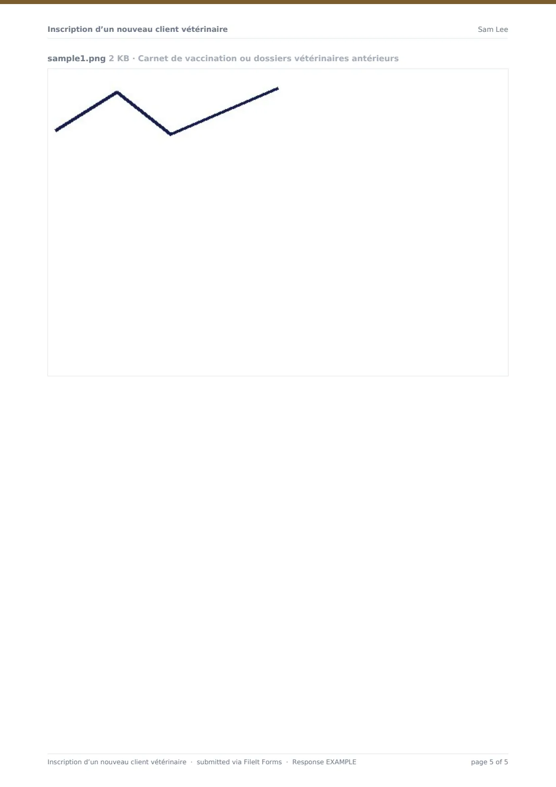 Inscription d’un nouveau client vétérinaire — exemple de réponse au format PDF, page 5 sur 5