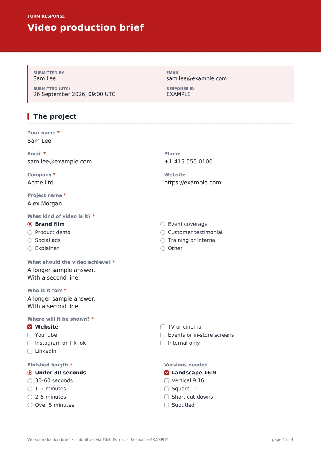 Video production brief — example response PDF, page 1 of 4