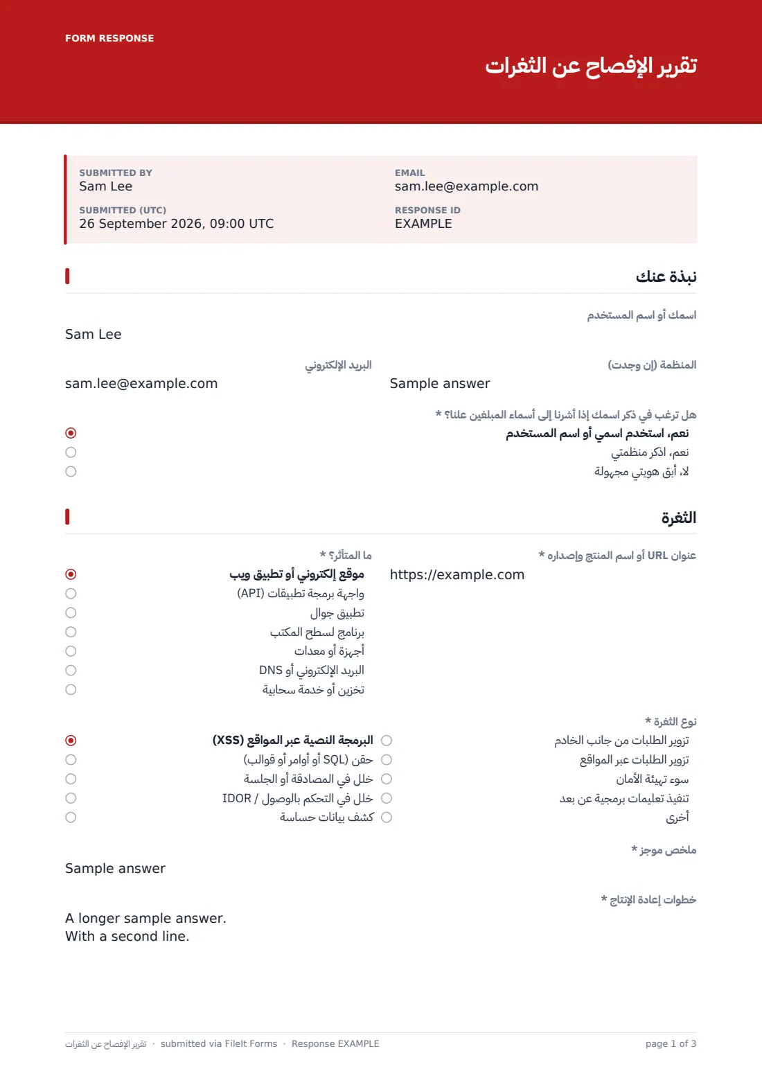 تقرير الإفصاح عن الثغرات — ملف PDF لرد نموذجي، الصفحة 1 من 3