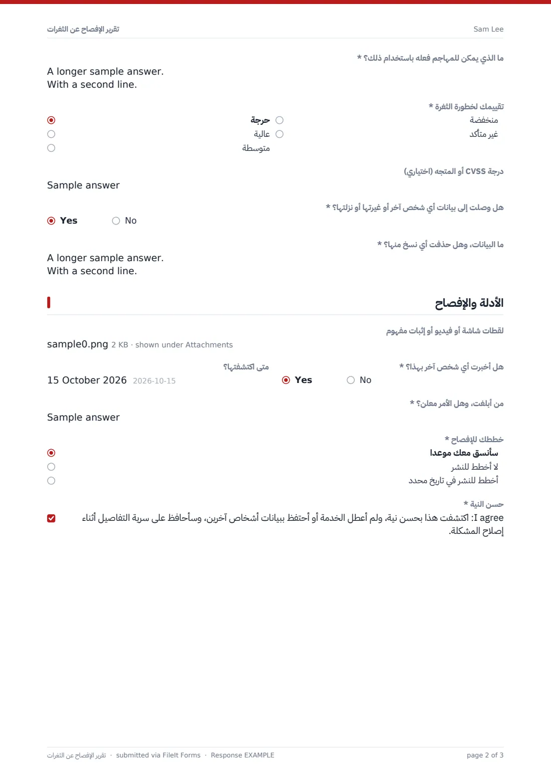 تقرير الإفصاح عن الثغرات — ملف PDF لرد نموذجي، الصفحة 2 من 3