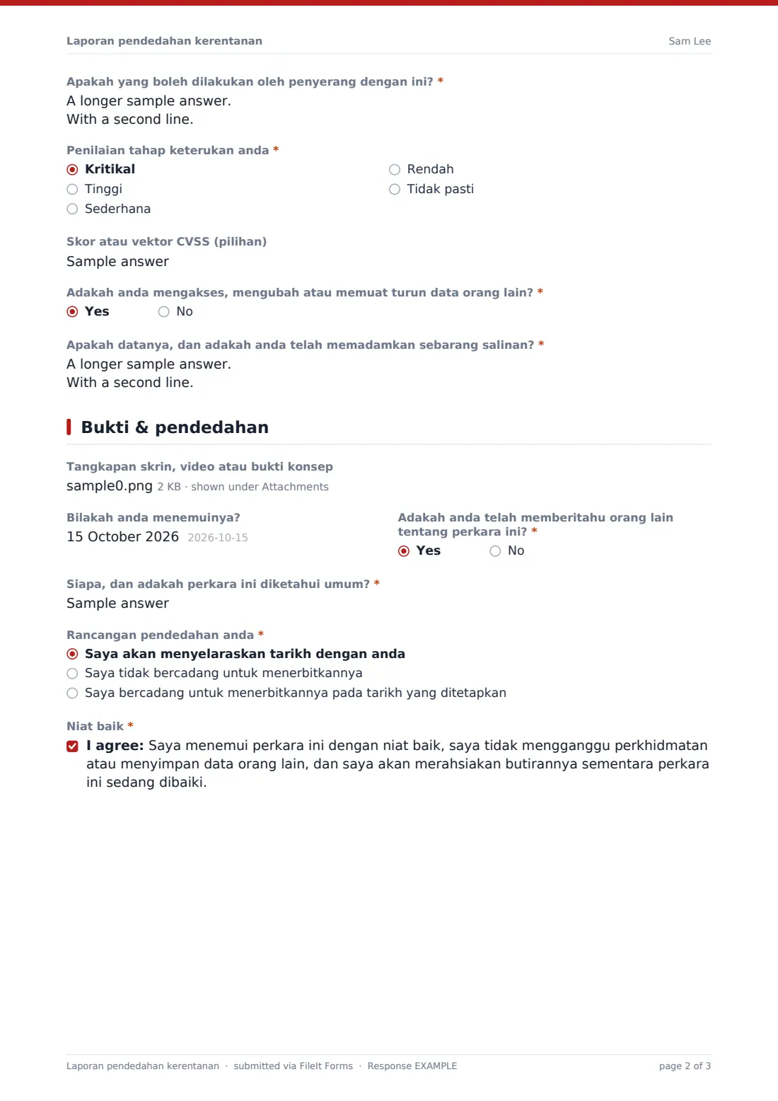 Laporan pendedahan kerentanan — PDF respons contoh, halaman 2 daripada 3