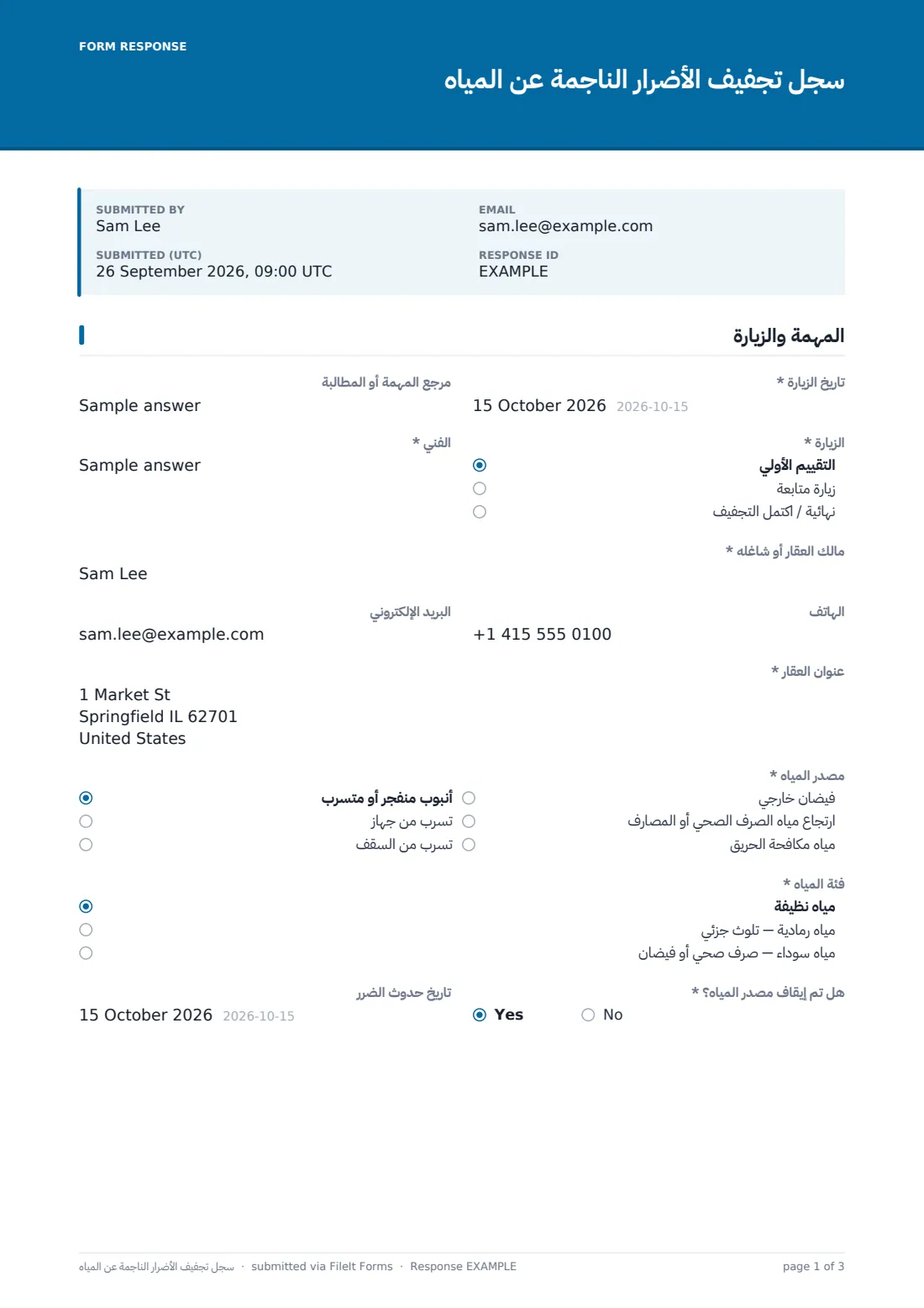 سجل تجفيف الأضرار الناجمة عن المياه — ملف PDF لرد نموذجي، الصفحة 1 من 3