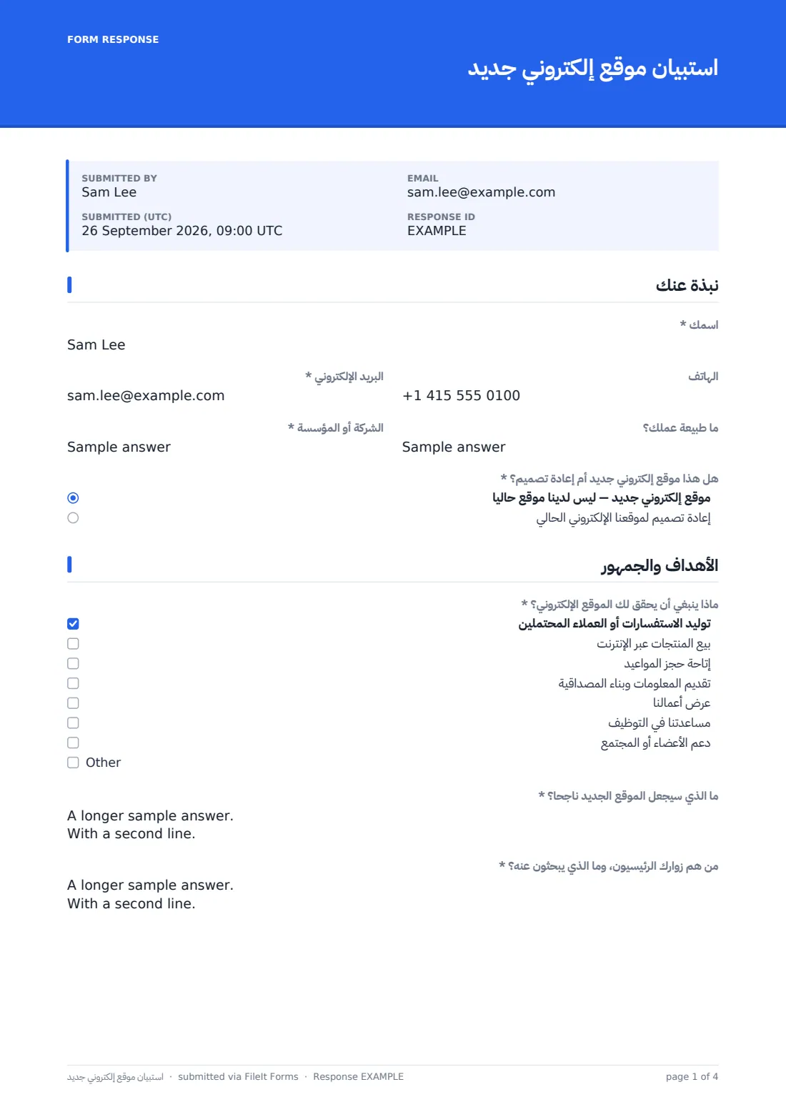 استبيان موقع إلكتروني جديد — ملف PDF لرد نموذجي، الصفحة 1 من 4