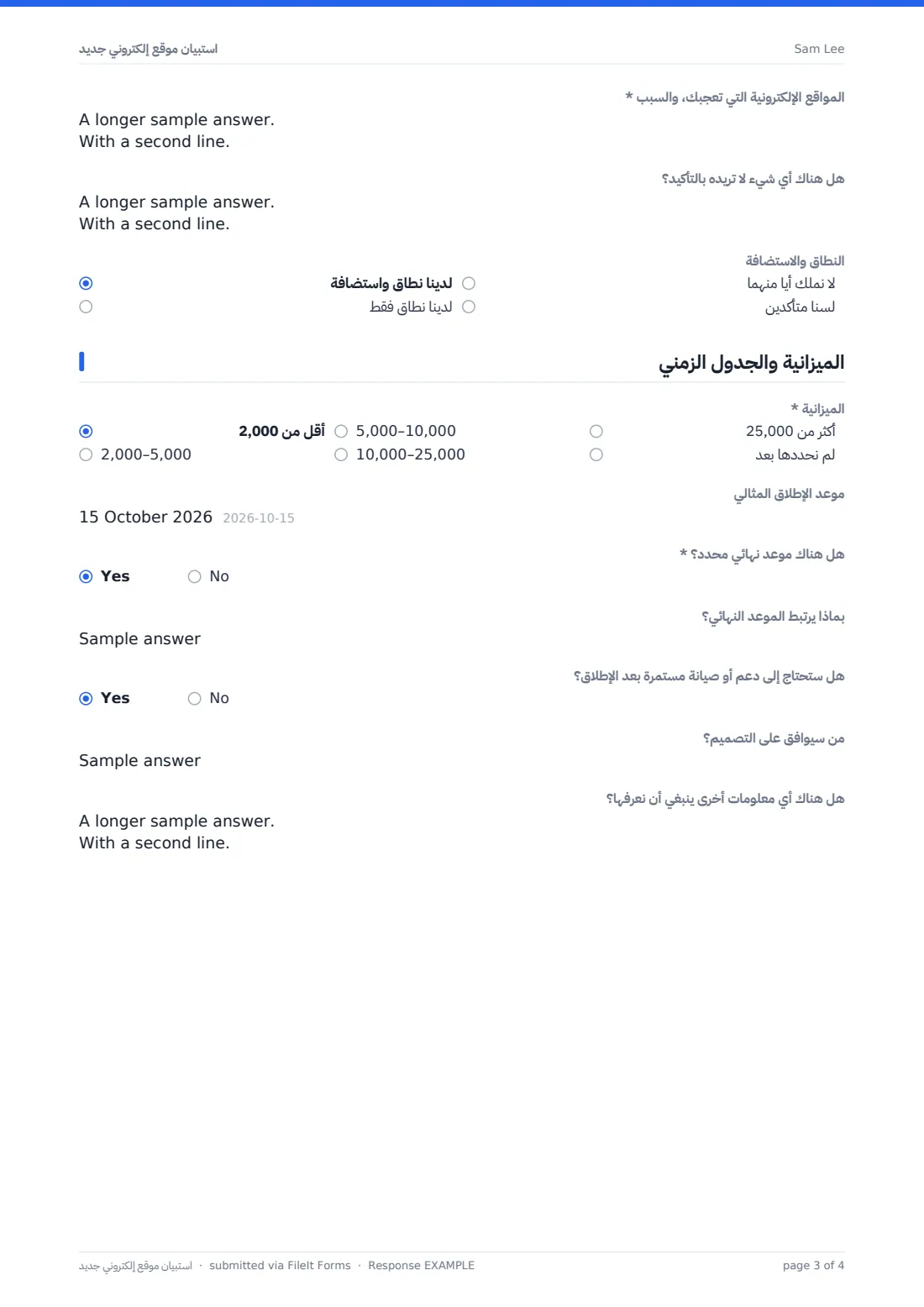 استبيان موقع إلكتروني جديد — ملف PDF لرد نموذجي، الصفحة 3 من 4