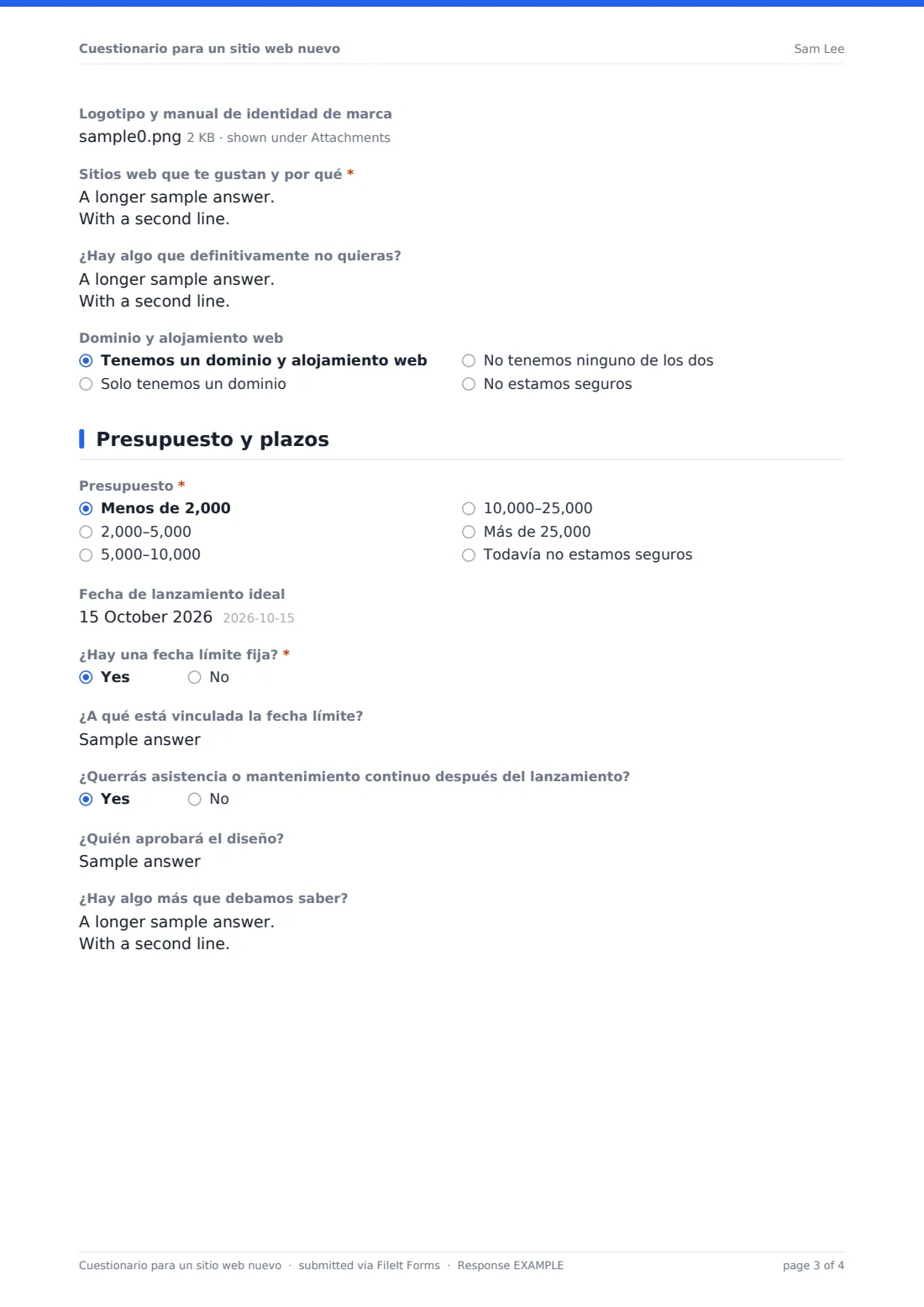 Cuestionario para un sitio web nuevo — PDF de respuesta de ejemplo, página 3 de 4