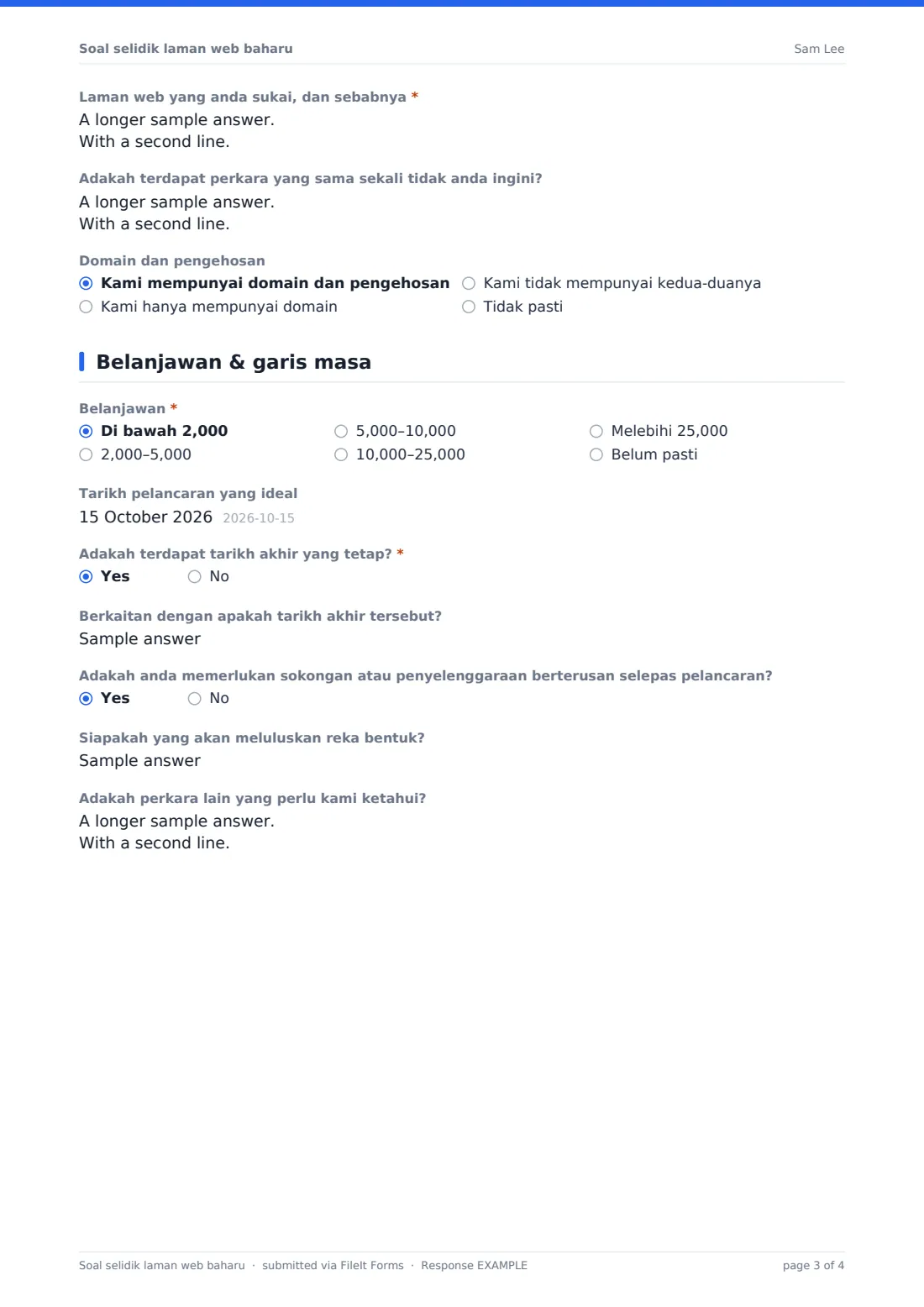 Soal selidik laman web baharu — PDF respons contoh, halaman 3 daripada 4