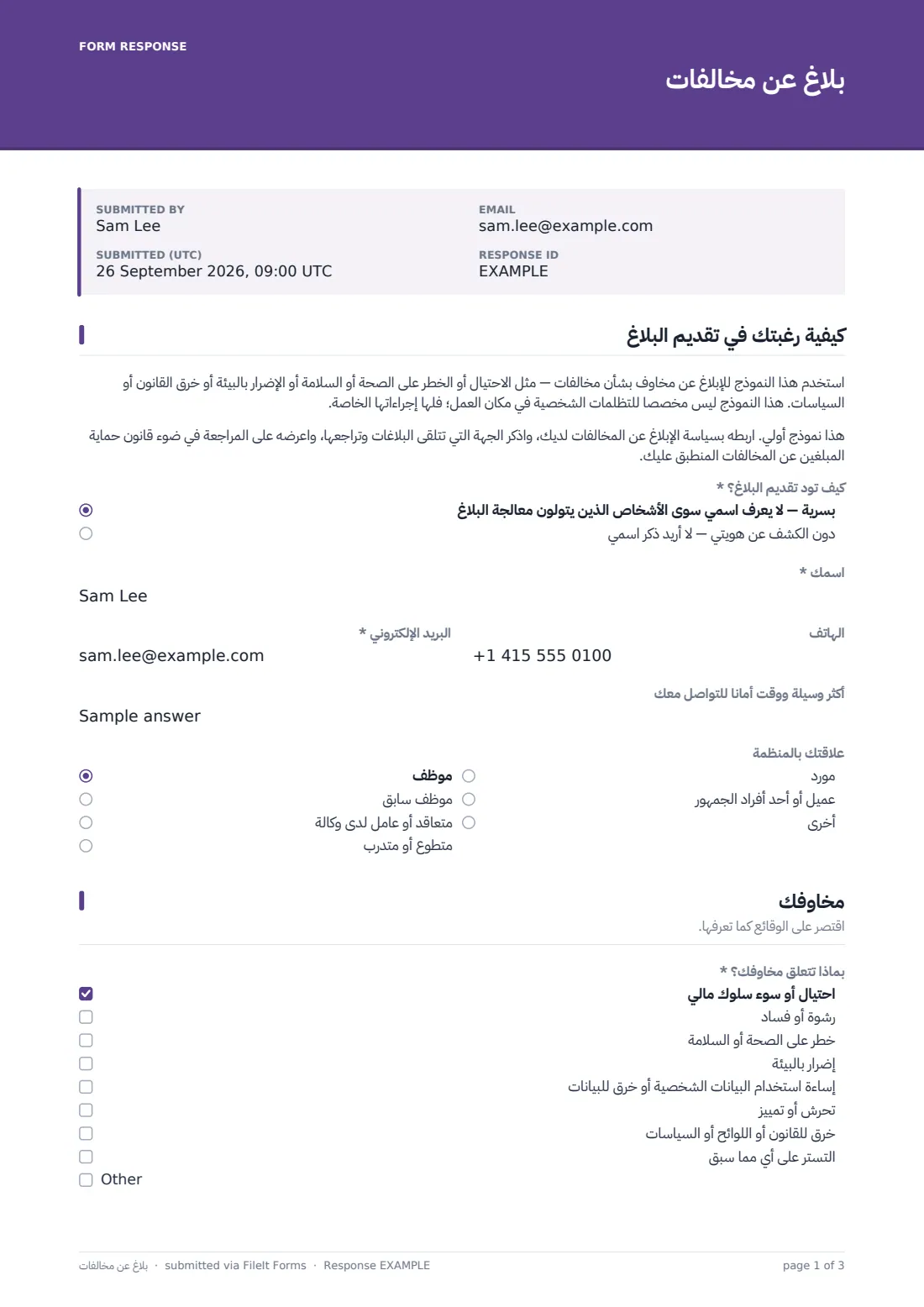 بلاغ عن مخالفات — ملف PDF لرد نموذجي، الصفحة 1 من 3