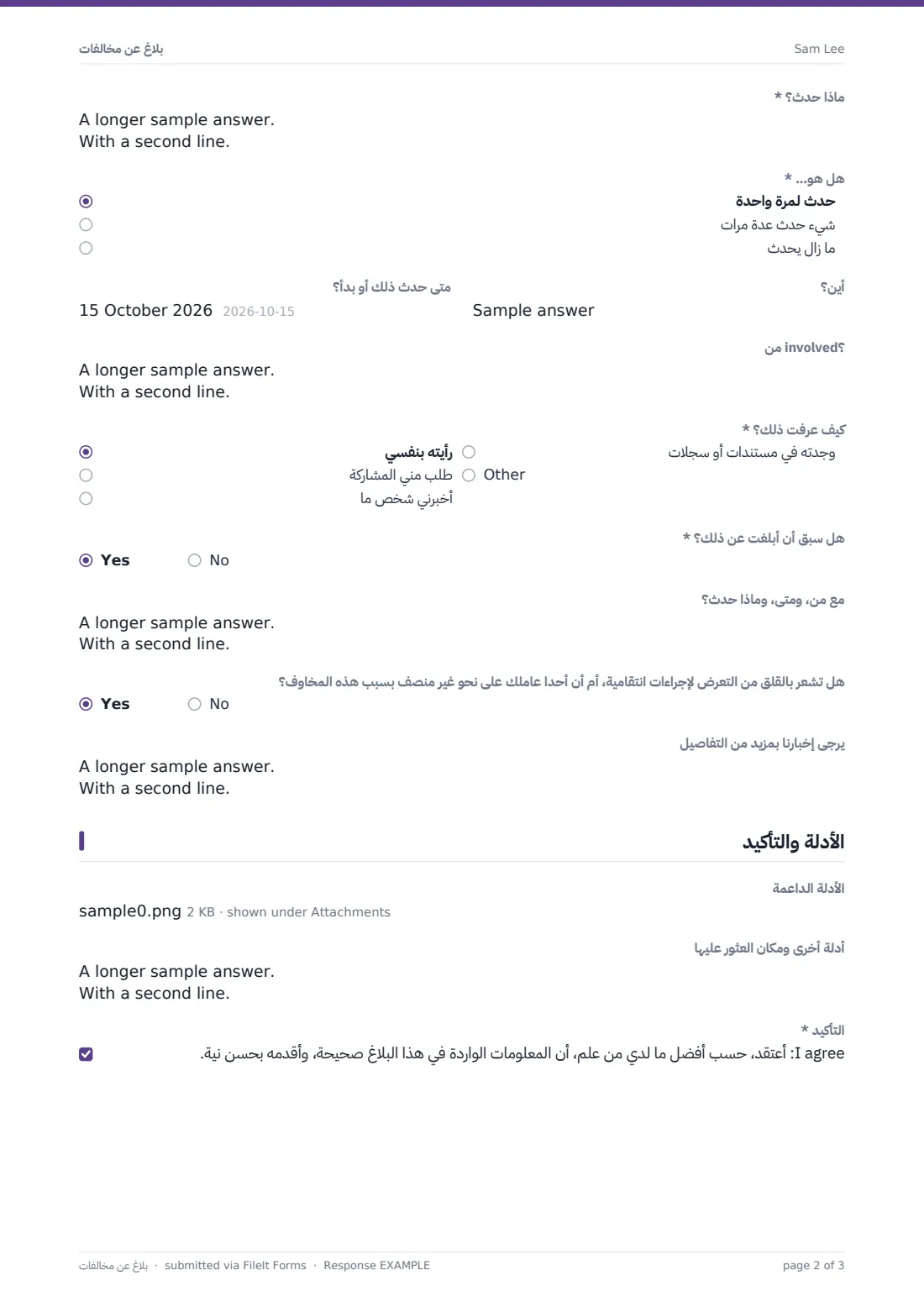 بلاغ عن مخالفات — ملف PDF لرد نموذجي، الصفحة 2 من 3