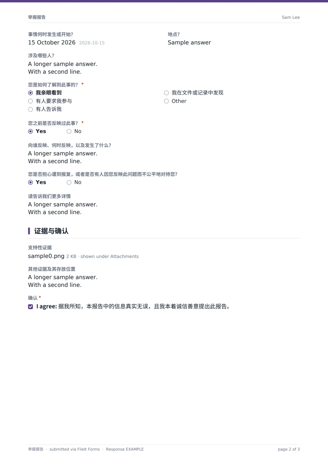 举报报告 — 示例回复 PDF，第 2 页，共 3 页