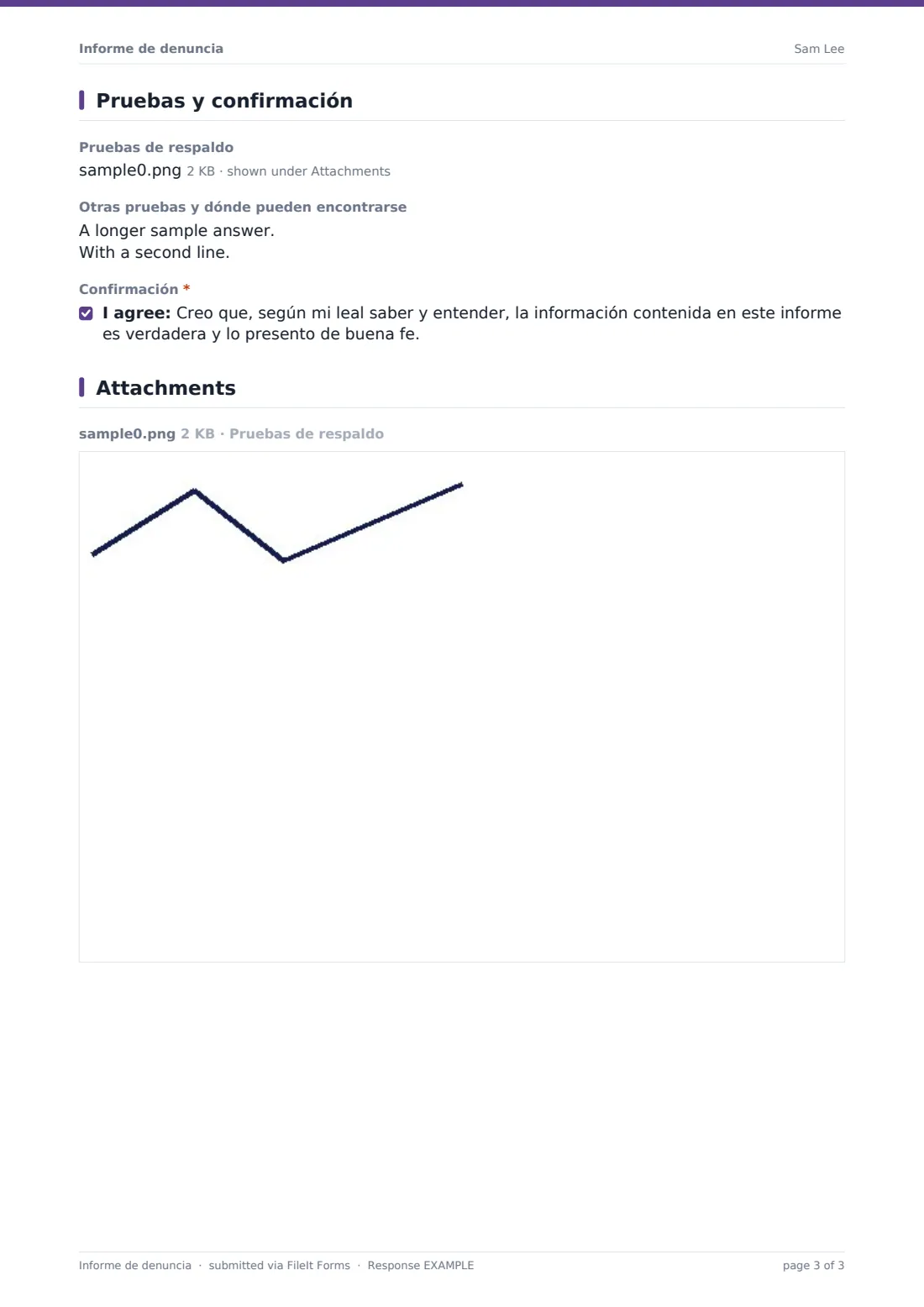 Informe de denuncia — PDF de respuesta de ejemplo, página 3 de 3