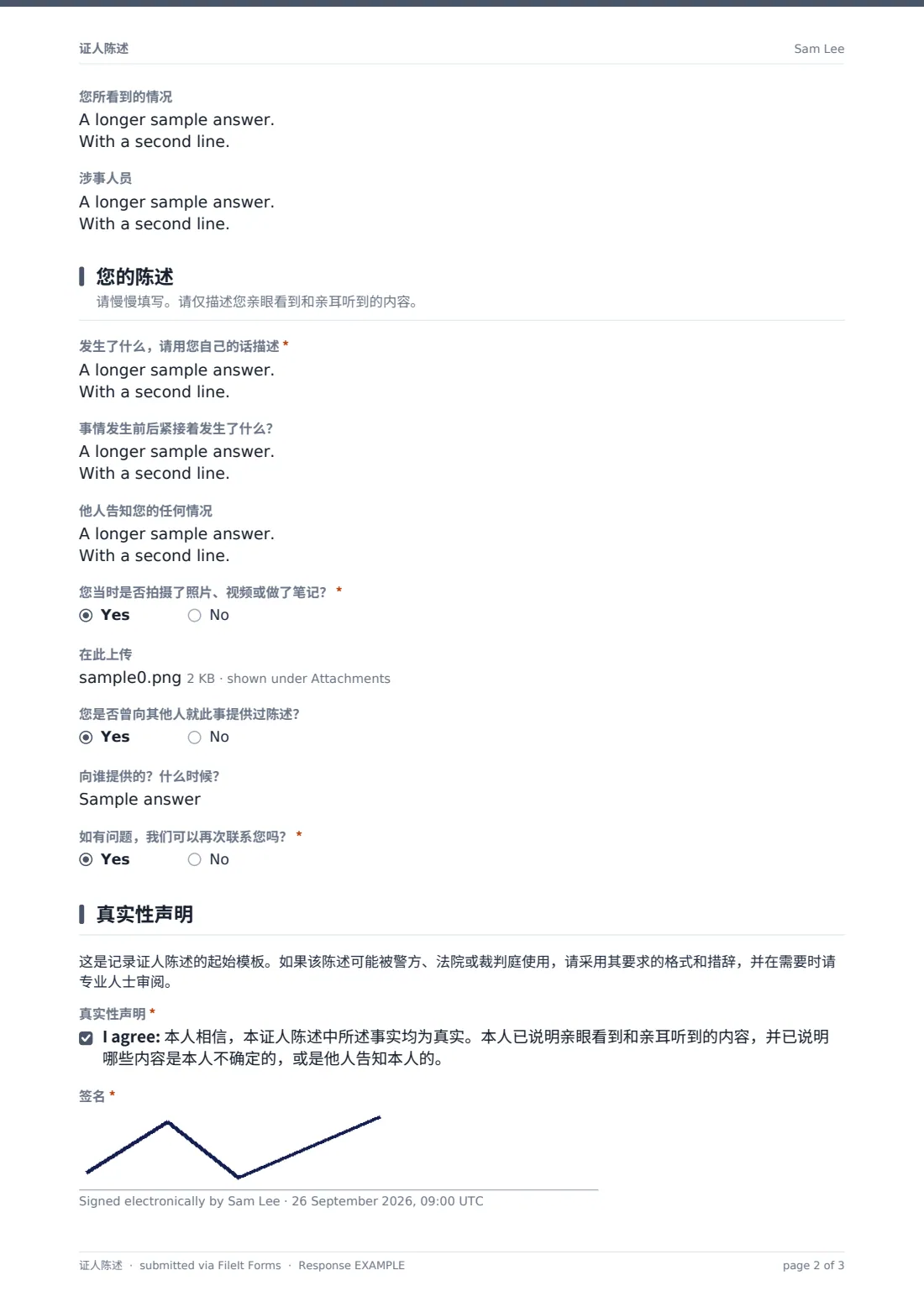 证人陈述 — 示例回复 PDF，第 2 页，共 3 页