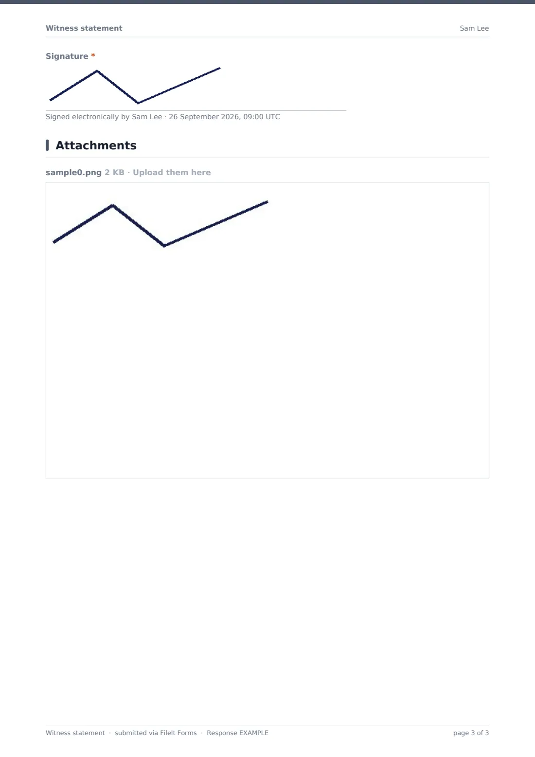Witness statement — example response PDF, page 3 of 3