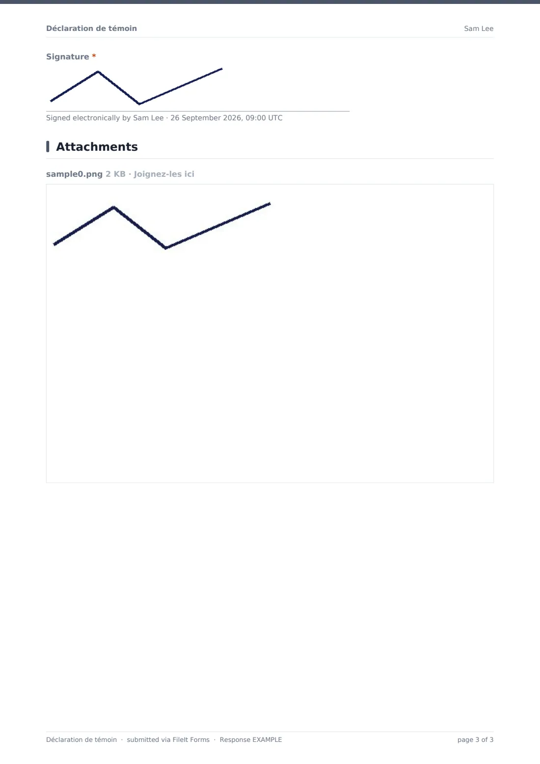 Déclaration de témoin — exemple de réponse au format PDF, page 3 sur 3