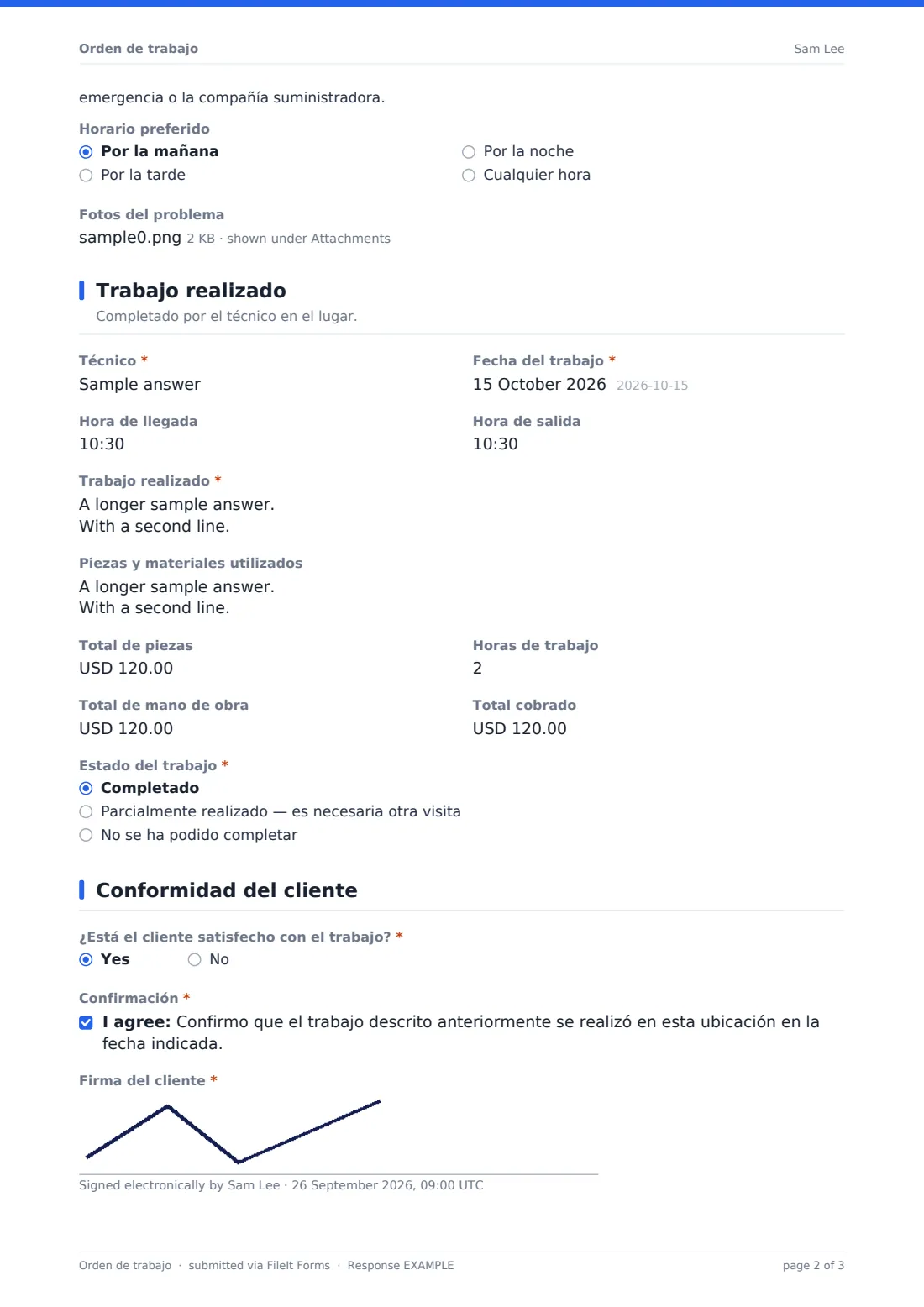 Orden de trabajo — PDF de respuesta de ejemplo, página 2 de 3