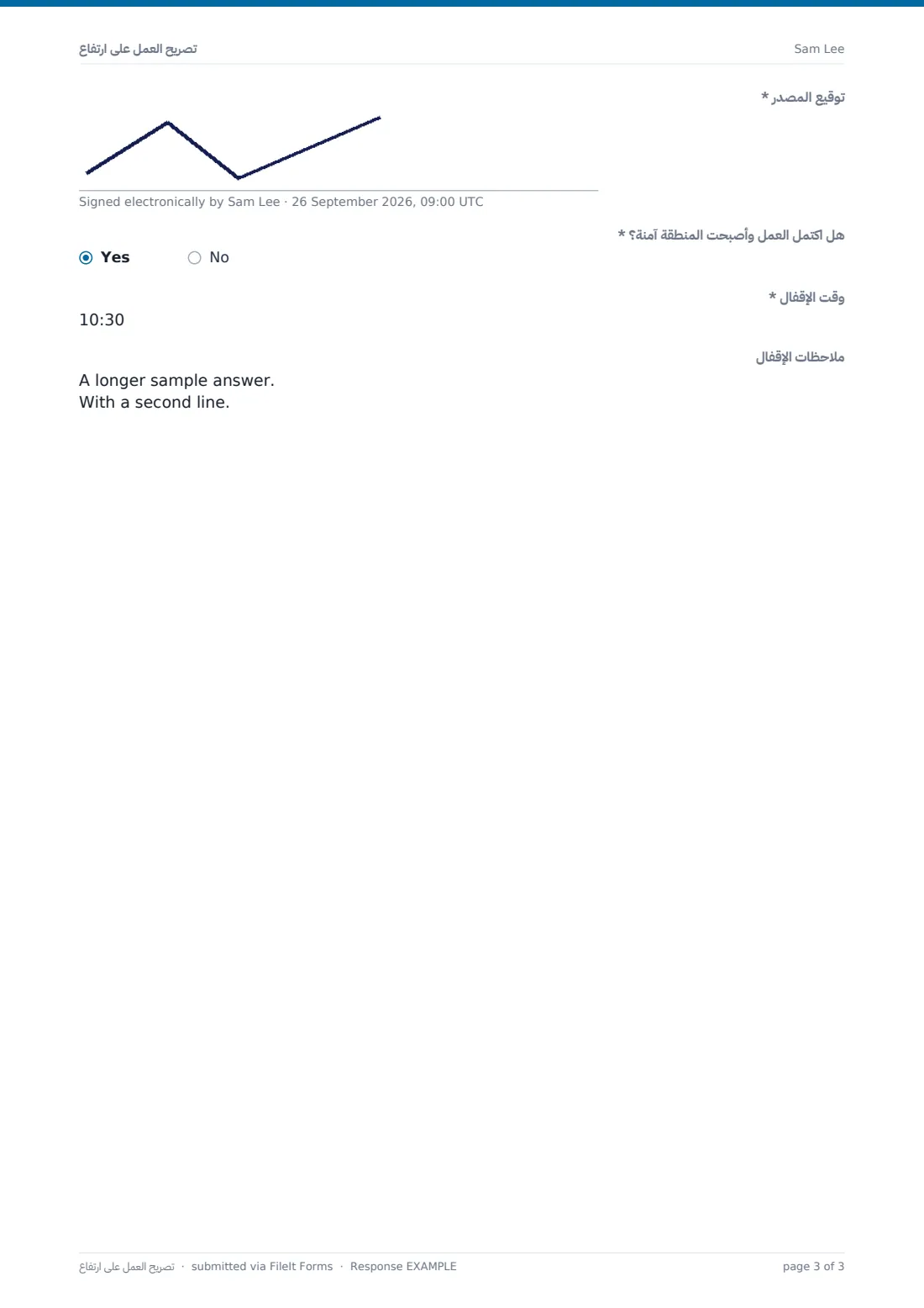 تصريح العمل على ارتفاع — ملف PDF لرد نموذجي، الصفحة 3 من 3
