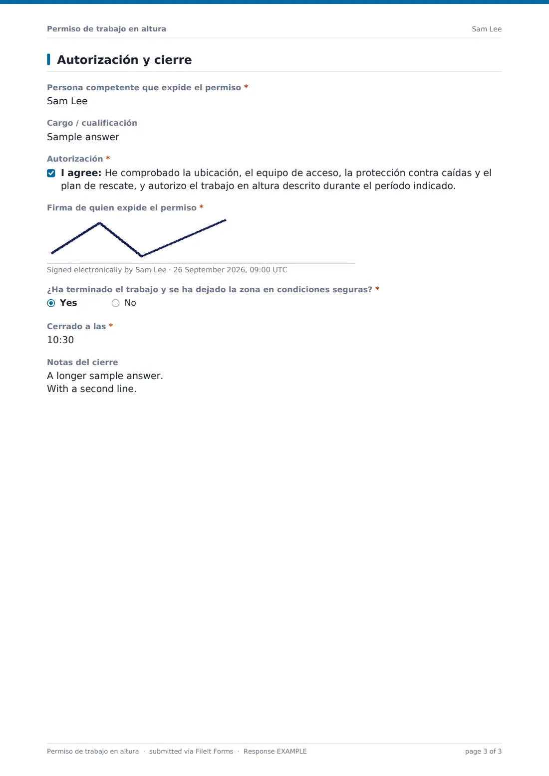 Permiso de trabajo en altura — PDF de respuesta de ejemplo, página 3 de 3