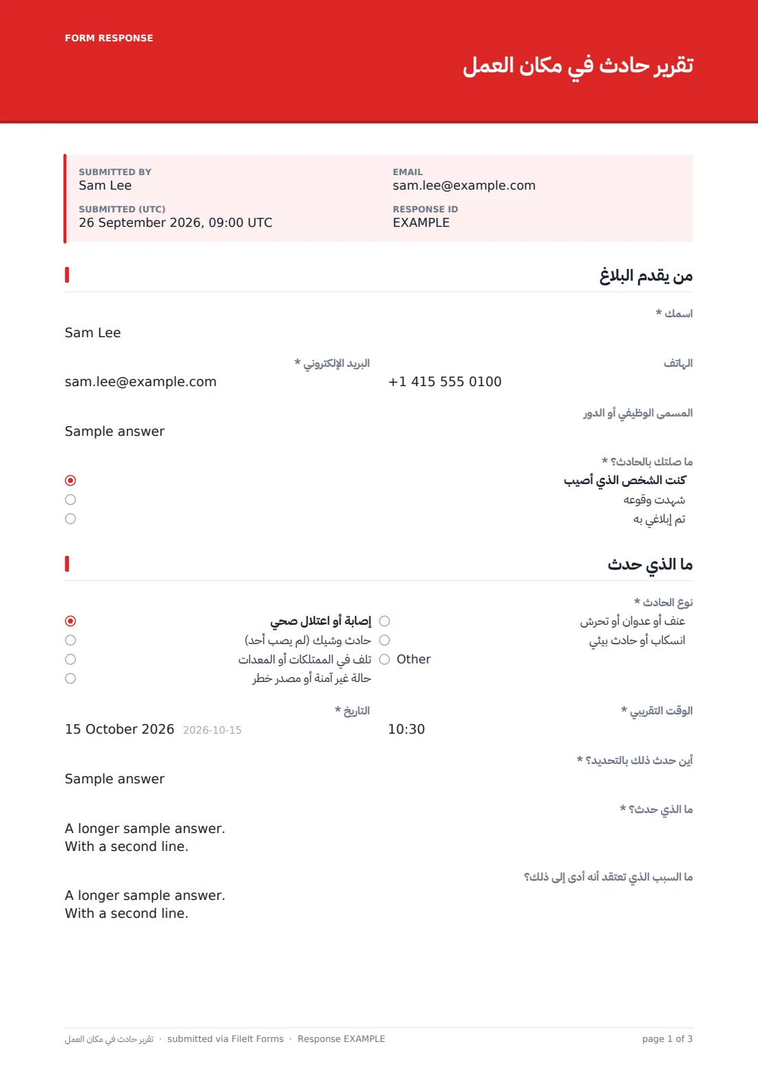 تقرير حادث في مكان العمل — ملف PDF لرد نموذجي، الصفحة 1 من 3
