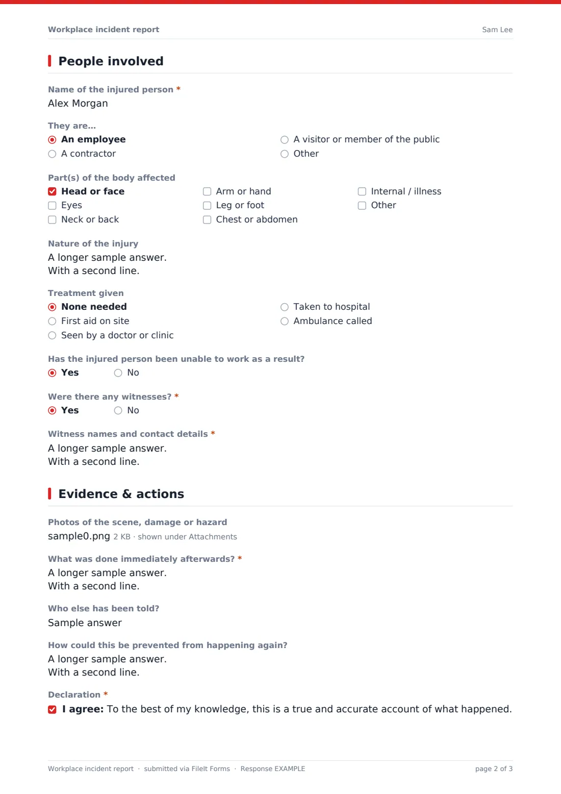 Workplace incident report — example response PDF, page 2 of 3