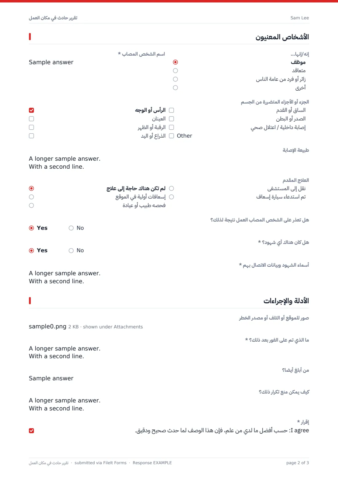 تقرير حادث في مكان العمل — ملف PDF لرد نموذجي، الصفحة 2 من 3