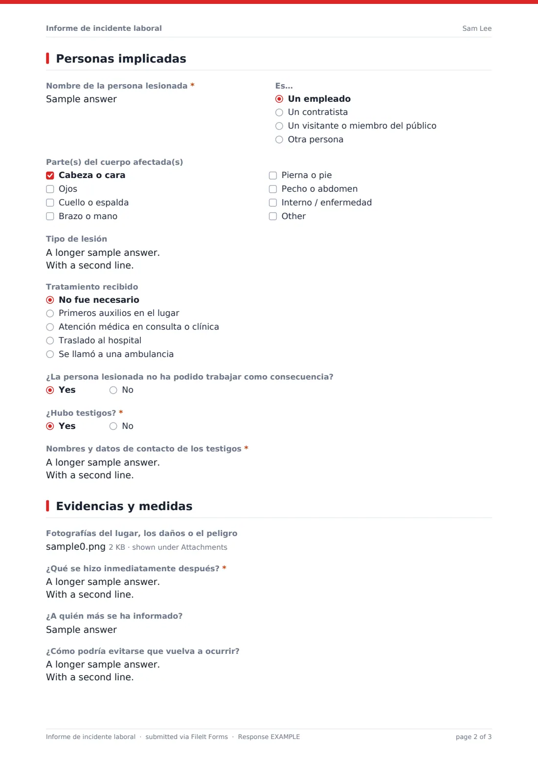 Informe de incidente laboral — PDF de respuesta de ejemplo, página 2 de 3