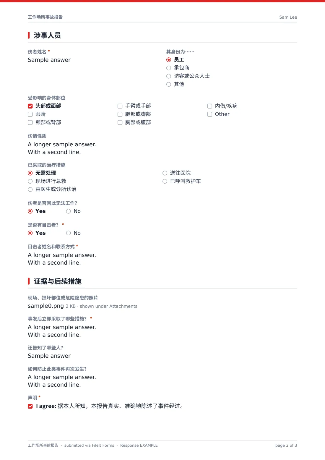 工作场所事故报告 — 示例回复 PDF，第 2 页，共 3 页