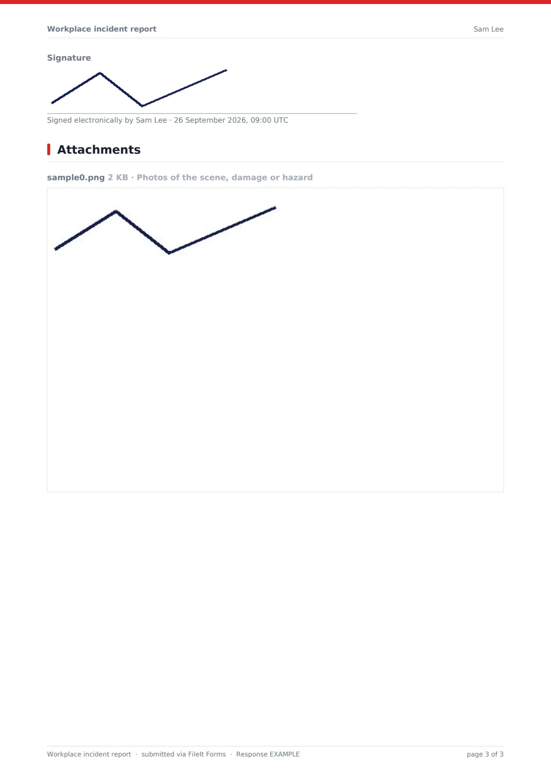 Workplace incident report — example response PDF, page 3 of 3