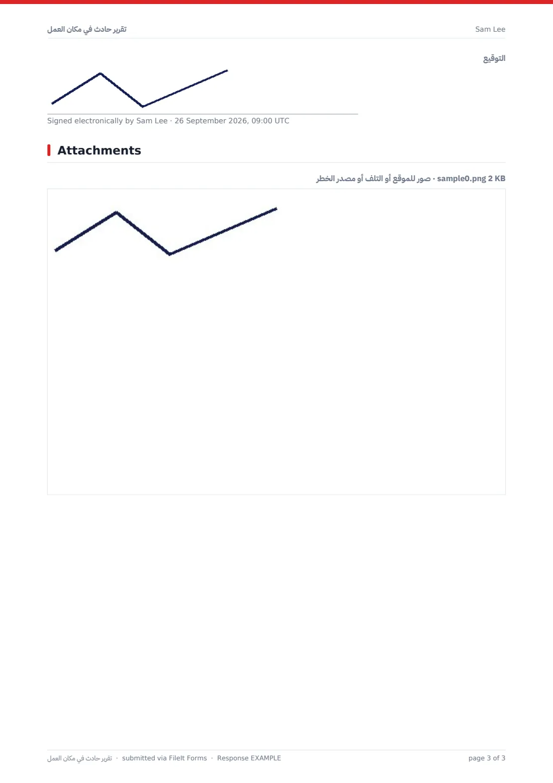 تقرير حادث في مكان العمل — ملف PDF لرد نموذجي، الصفحة 3 من 3