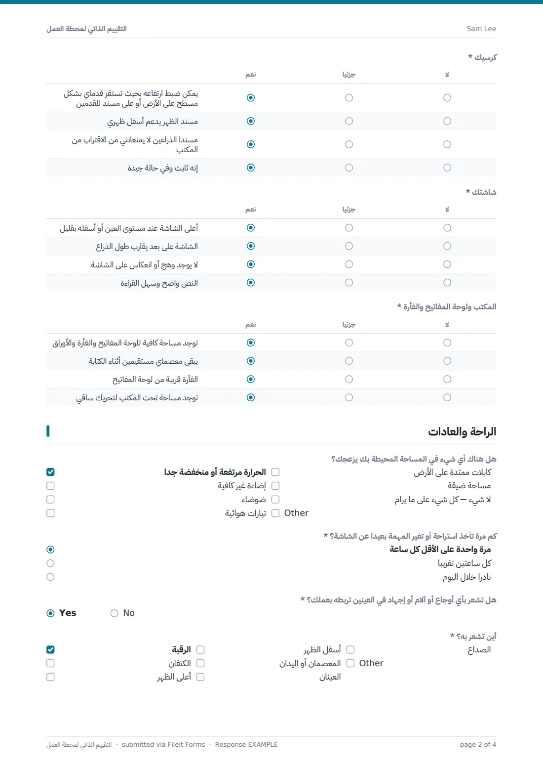 التقييم الذاتي لمحطة العمل — ملف PDF لرد نموذجي، الصفحة 2 من 4