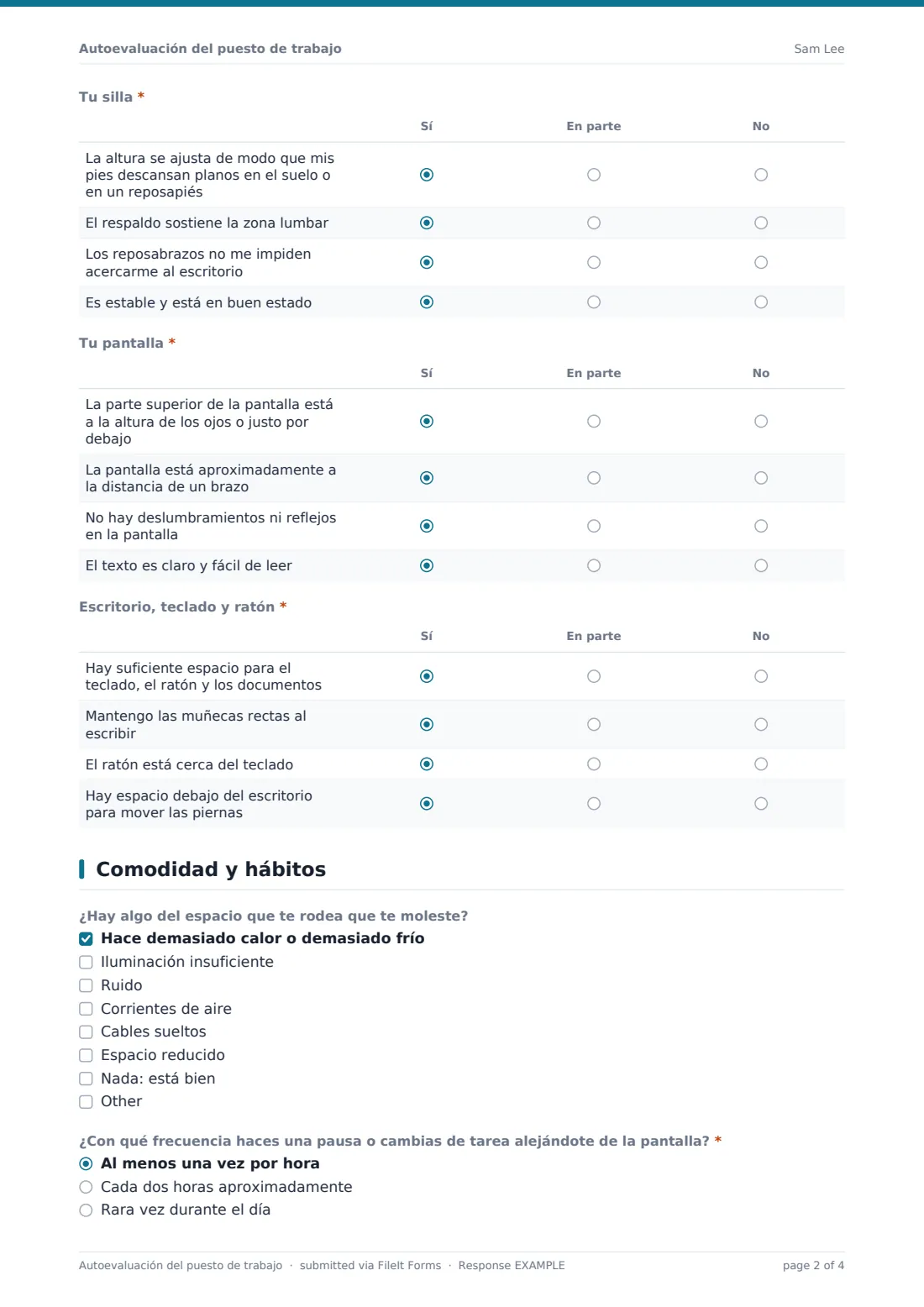 Autoevaluación del puesto de trabajo — PDF de respuesta de ejemplo, página 2 de 4