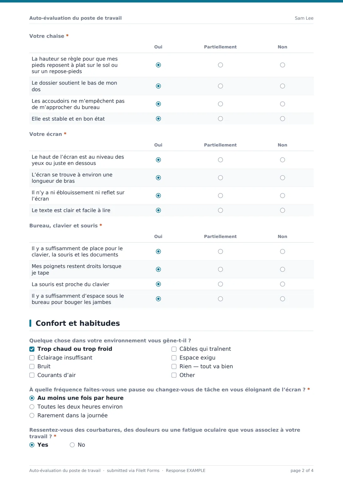 Auto-évaluation du poste de travail — exemple de réponse au format PDF, page 2 sur 4