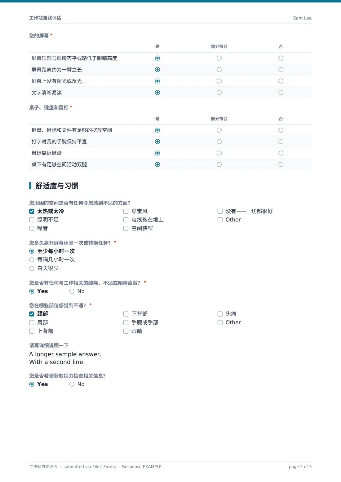 工作站自我评估 — 示例回复 PDF，第 2 页，共 3 页