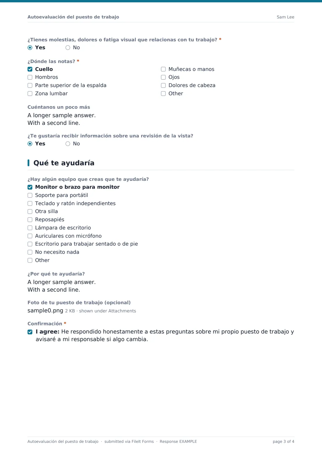 Autoevaluación del puesto de trabajo — PDF de respuesta de ejemplo, página 3 de 4