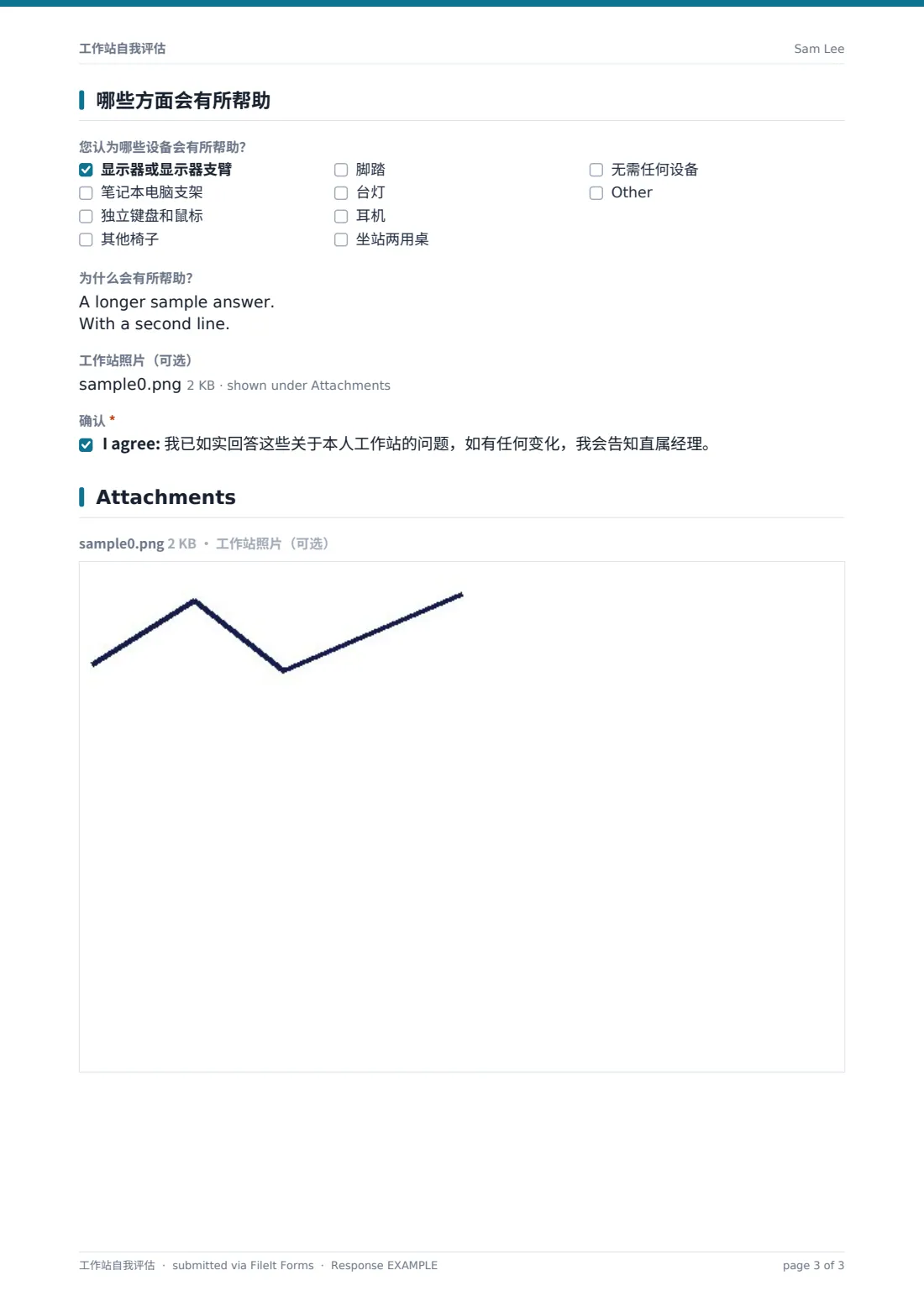 工作站自我评估 — 示例回复 PDF，第 3 页，共 3 页