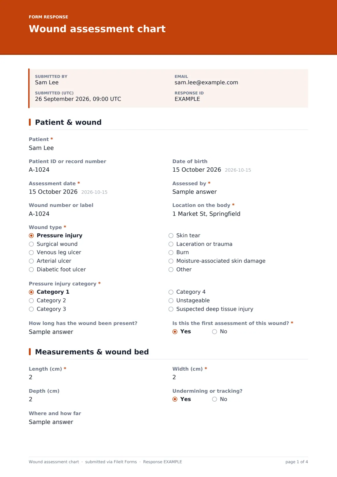 Wound assessment chart — example response PDF, page 1 of 4