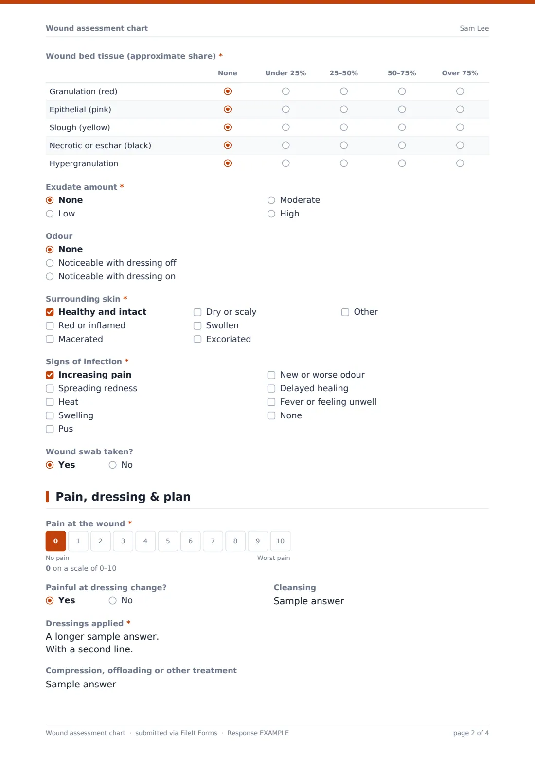 Wound assessment chart — example response PDF, page 2 of 4